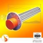 Flange immersion heater